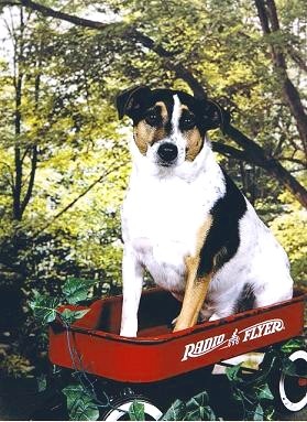 Archie's Radio Flyer